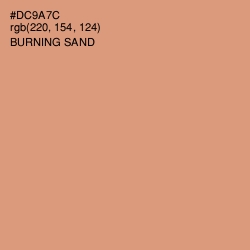 #DC9A7C - Burning Sand Color Image